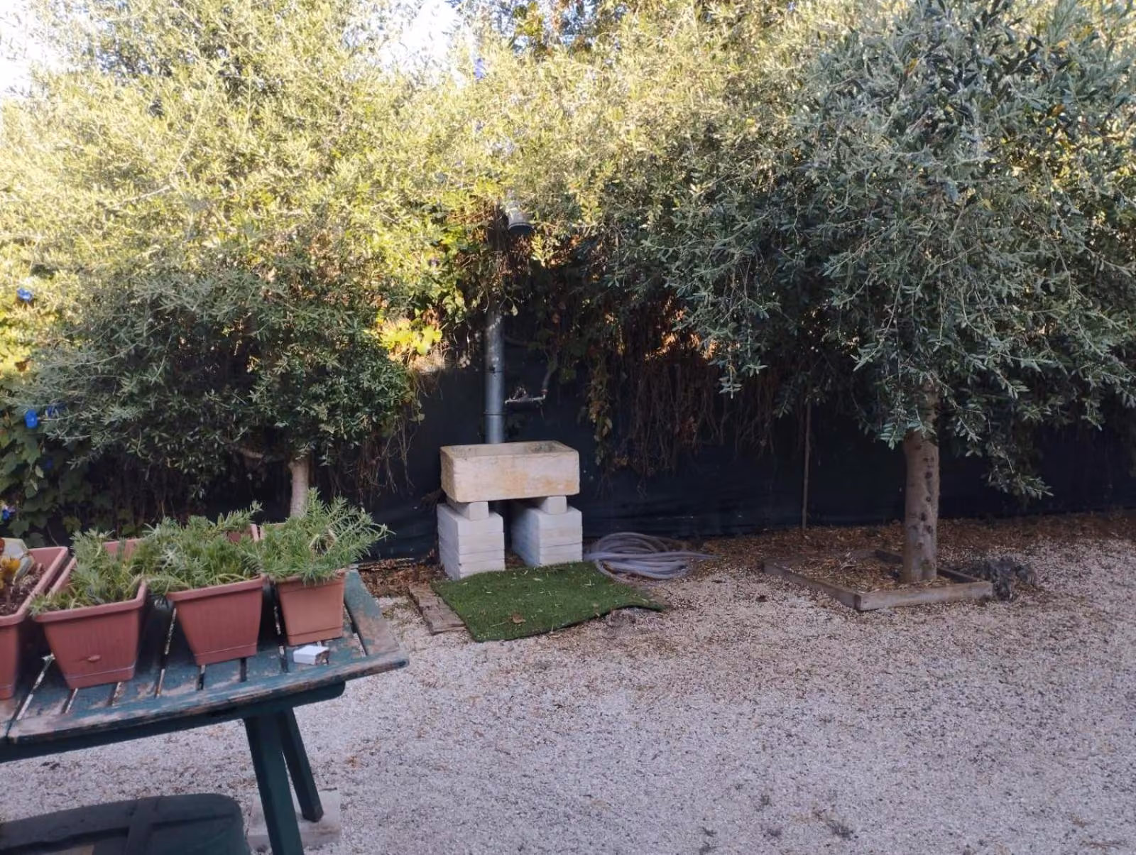 Un angolo del giardino de Gli oleandri